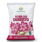 Terra para Rosa do Deserto 2kg Única