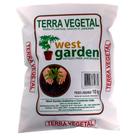 Terra vegetal