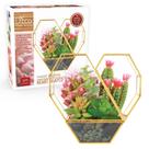 Terrário de Vidro em Formato de Coração DEco 20 x 20 x 6 cm com Detalhes Dourados Terrário de Vidro em Formato de Coração DEco 20 x 20 x 6 cm com Detalhes Dourados