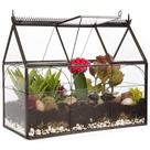 Terrário de vidro estilo estufa D'Eco 25 x 11 x 23 cm decorativo Terrário de vidro estilo estufa D'Eco 25 x 11 x 23 cm decorativo