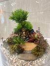 Terrário Decorativo com Miniatura de Ganesha