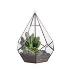 Terrário geométrico de vidro suspenso NCYP em forma de lágrima 6,8 cm Terrário geométrico de vidro suspenso NCYP em forma de lágrima 6,8 cm