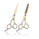Tesoura de corte de cabelo e tesoura de desbaste Purple Dragon 15cm