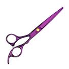 Tesoura de corte de cabelo profissional em aço inoxidável de 6,5 polegadas Tesoura de corte de cabelo profissional em aço inoxidável de 6,5 polegadas