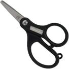 Tesoura Lizard 084135 (12,7cm)