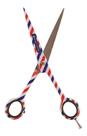 Tesoura Navalha Profissional Listrada 7 Marco Boni - 1882