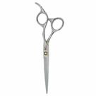 Tesoura Profissional UMI 6.5 Polegadas Fio Navalha Tesoura Profissional UMI 6.5 Polegadas Fio Navalha