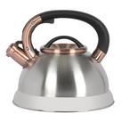 Tetera Mr. Coffee Flintshire de Acero Inoxidable 2.1L