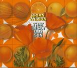 That lucky old sun (cd+dvd) - limited edition