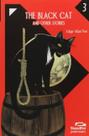 The black cat and other stories - STANDFOR