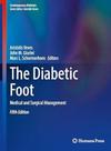 THE DIABETIC FOOT, Autor: VEVES / ARISTIDIS VEVES, JOHN M. GIURINI, MARC L. SCHERMERHORN - SPRINGER NATURE (IMPORT) 2024
