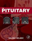 The Pituitary The Pituitary