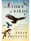 The story of birds - export edition