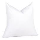 Throw Pillow Insert puredown 30 x 30 cm Feather Down, 1 pacote