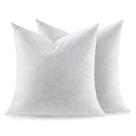 Throw Pillow Inserts Swandream Soft Fluffy 45x45cm, conjunto de 2