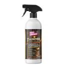 Thunder Limpeza Cozinha Churrasco 500ml Val Tudo Limpinho