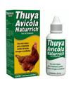 Thuya Avícola Naturrich Thuya Avícola Naturrich