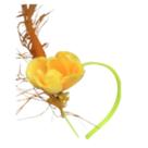 Tiara Pena e Flor Boho Chic para Festas Cor:Amarelo Tiara Pena e Flor Boho Chic para Festas Cor:Amarelo