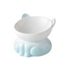 Tigela de cerâmica para gatos inclinada anti-derramamento, prato para animais de estimação, verde, 1,1 kg