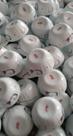 Tigelas 100 mm opal-vidro termoresistente kit 20 un