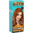 Tinta 7.4 Louro Médio Acobreado MAXTON Kit Prático 50g