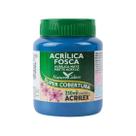 Tinta Acrílica Acrilex Fosca 250ml Escolha a Cor Tinta Acrílica Acrilex Fosca 250ml Escolha a Cor