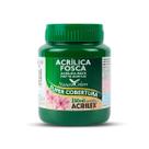Tinta Acrílica Acrilex Fosca 250ml Escolha a Cor