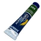 Tinta Acrílica Acrilex Verde Hooker 20ML