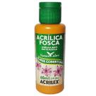 Tinta Acrílica AMENDÔA Fosca - 60ml Acrilex Artesanato