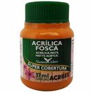 Tinta Acrílica Fosca Acrilex Amarelo Ocre 37ML Tinta Acrílica Fosca Acrilex Amarelo Ocre 37ML