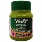 Tinta Acrílica Fosca Acrilex Verde Pistache 37ML