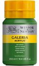 Tinta Acrílica Galeria Winsor & Newton 250ml 599 Sap Green