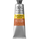 Tinta Acrílica Galeria Winsor & Newton 60ml 074 Burnt Sienna Tinta Acrílica Galeria Winsor & Newton 60ml 074 Burnt Sienna