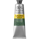Tinta Acrílica Galeria Winsor Newton 60ml 311 Hookers Green Tinta Acrílica Galeria Winsor Newton 60ml 311 Hookers Green