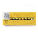 Tinta Acrílica Galeria Winsor & Newton 60ml com 10 Cores