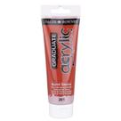 Tinta Acrílica Graduate 120ml Terra Siena Q 201 Daler Rowney