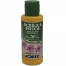 Tinta Acrílica Melão Acrilex (60ml)