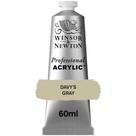 Tinta Acrílica Professional Winsor 60ml S1 217 Davys Gray
