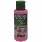 Tinta Acrilica Tutti Frutti Acrilex (60ml) Tinta Acrilica Tutti Frutti Acrilex (60ml)