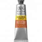 Tinta Acrílica Winsor & Newton Galeria 60ml Burnt Sienna Tinta Acrílica Winsor & Newton Galeria 60ml Burnt Sienna