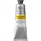 Tinta Acrílica Winsor & Newton Galeria 60ml Mixing White Tinta Acrílica Winsor & Newton Galeria 60ml Mixing White