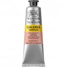 Tinta Acrílica Winsor & Newton Galeria 60ml Pale Rose Tinta Acrílica Winsor & Newton Galeria 60ml Pale Rose