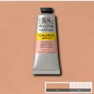 Tinta Acrílica Winsor & Newton Galeria 60ml Pale Terracotta Tinta Acrílica Winsor & Newton Galeria 60ml Pale Terracotta