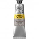 Tinta Acrílica Winsor & Newton Galeria 60ml Pale Umber Tinta Acrílica Winsor & Newton Galeria 60ml Pale Umber