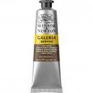 Tinta Acrílica Winsor & Newton Galeria 60ml Raw Umber