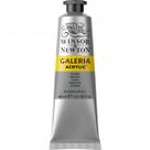 Tinta Acrílica Winsor & Newton Galeria 60ml Silver Tinta Acrílica Winsor & Newton Galeria 60ml Silver