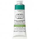 Tinta Aqua Wash Charbonnel 60ml Viridian Tinta Aqua Wash Charbonnel 60ml Viridian