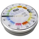 Tinta Aquarela Pastilha Profissional Pébéo 12 Cores