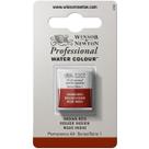 Tinta Aquarela Profissional Winsor & Newton Pastilha S1 317 Indian Red