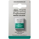 Tinta Aquarela Profissional Winsor Pastilha S3 692 Viridian Tinta Aquarela Profissional Winsor Pastilha S3 692 Viridian